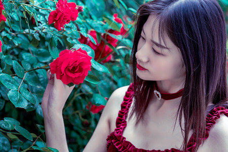 2025年上海统战文化周开幕：百年传薪火 团结向未来